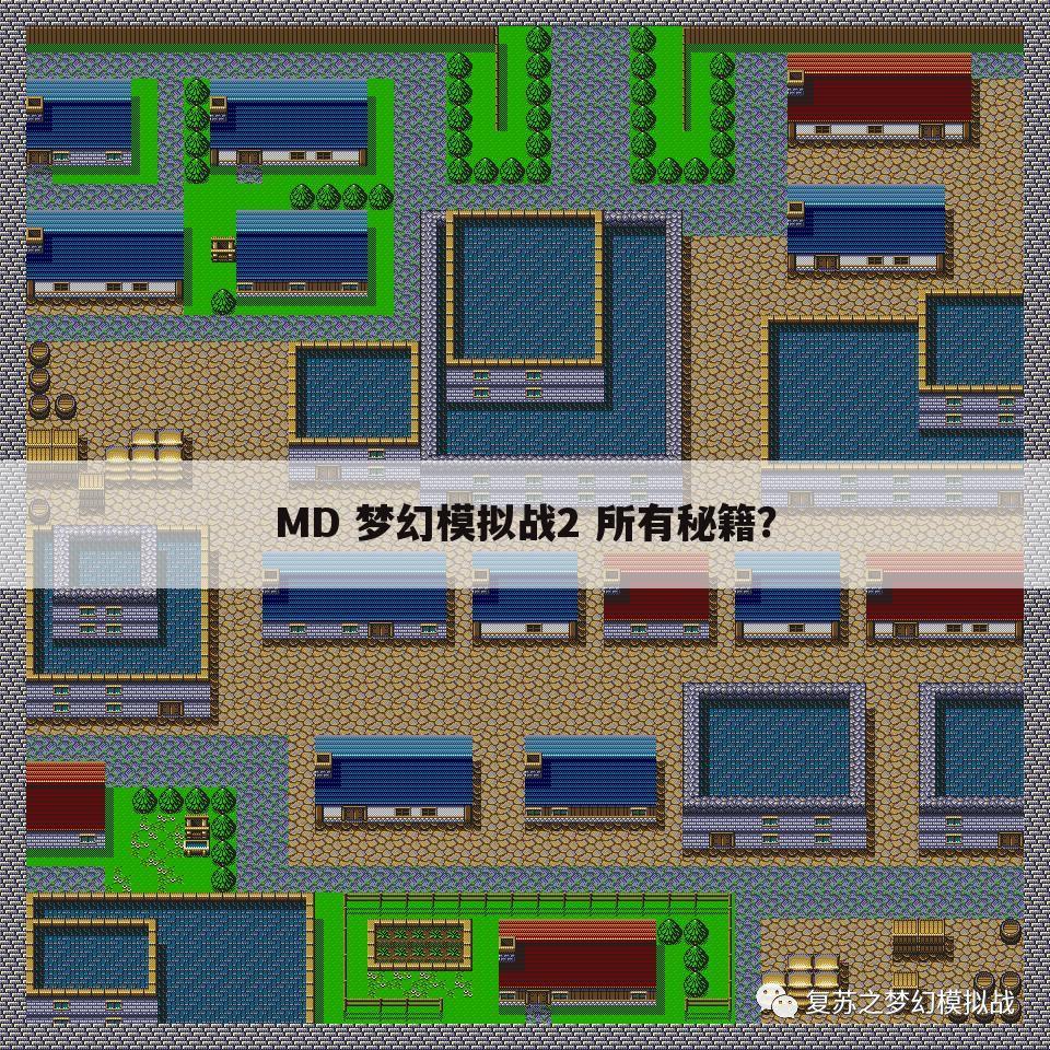 MD 梦幻模拟战2 所有秘籍？