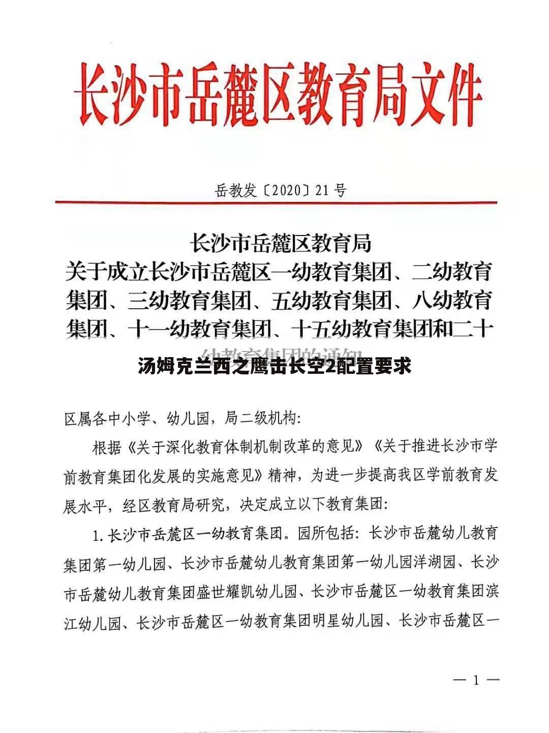 汤姆克兰西之鹰击长空2配置要求