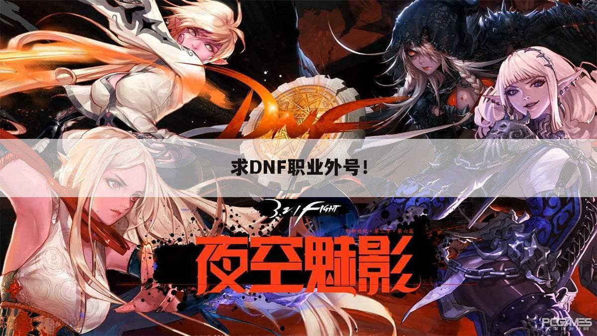 求DNF职业外号！