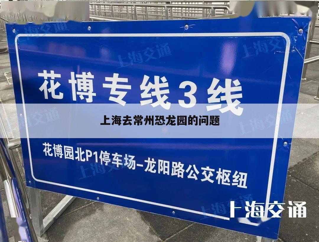上海去常州恐龙园的问题