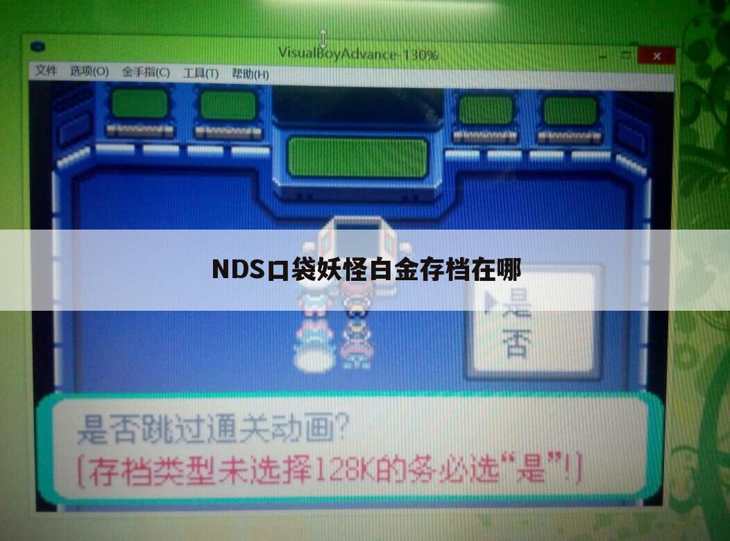 NDS口袋妖怪白金存档在哪