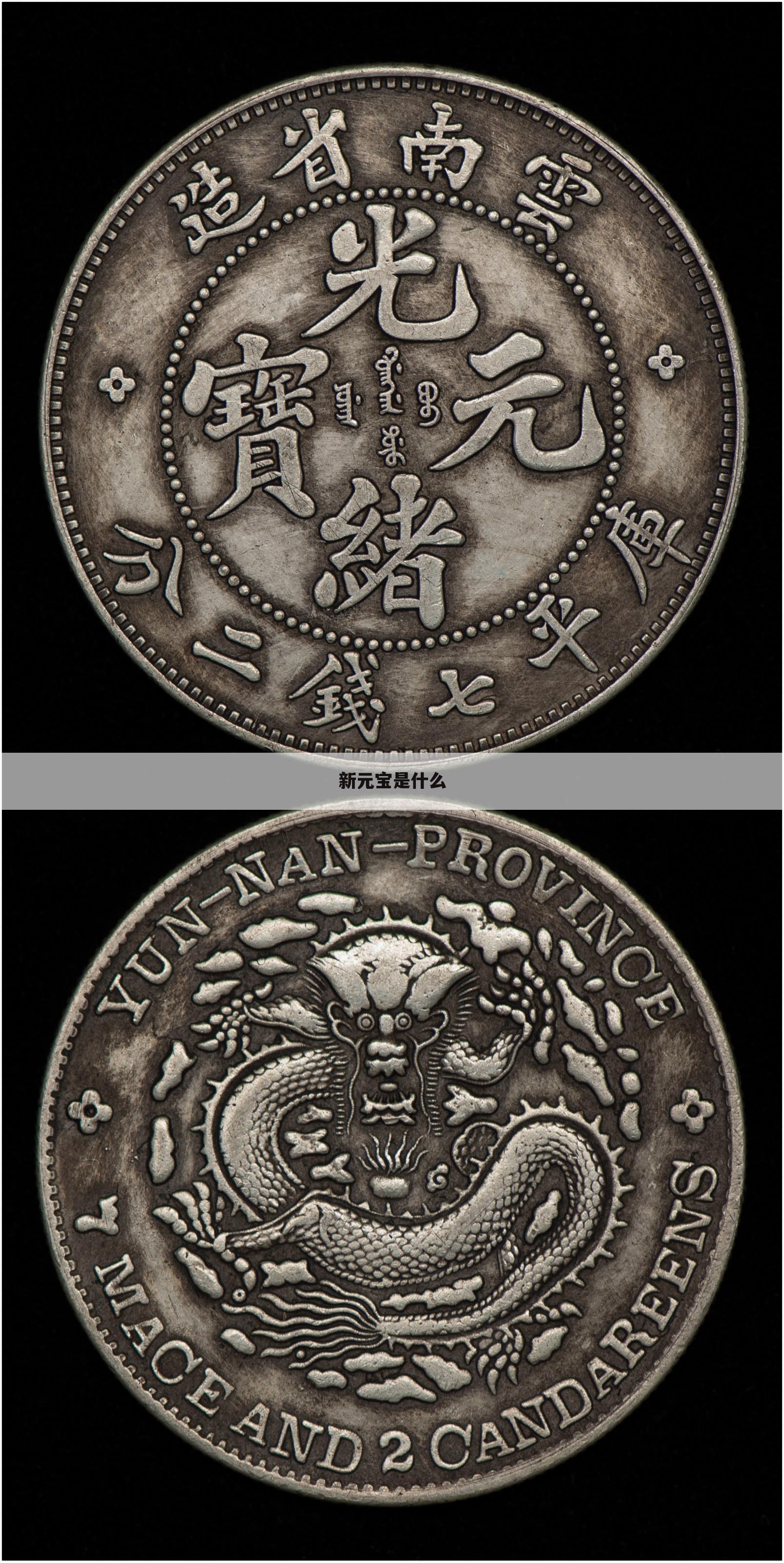 新元宝是什么