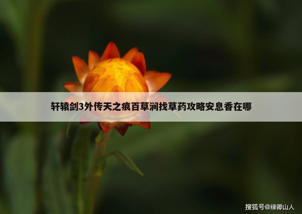 轩辕剑3外传天之痕百草涧找草药攻略安息香在哪
