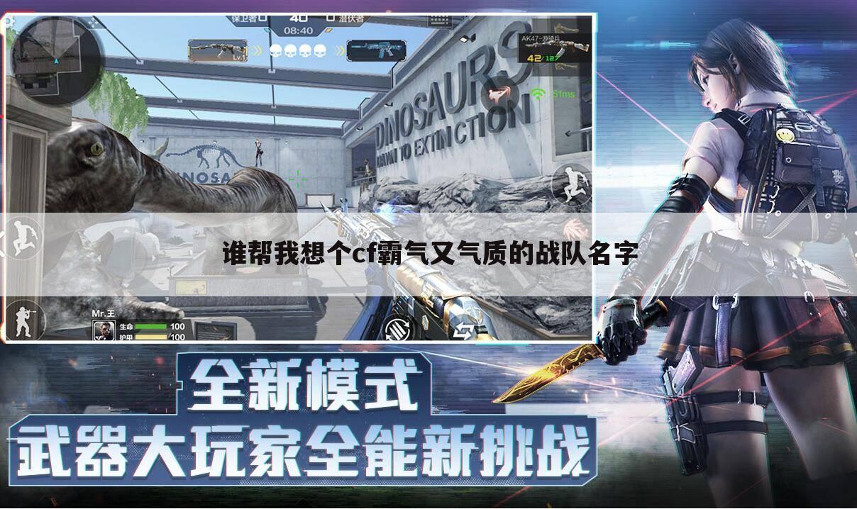 谁帮我想个cf霸气又气质的战队名字