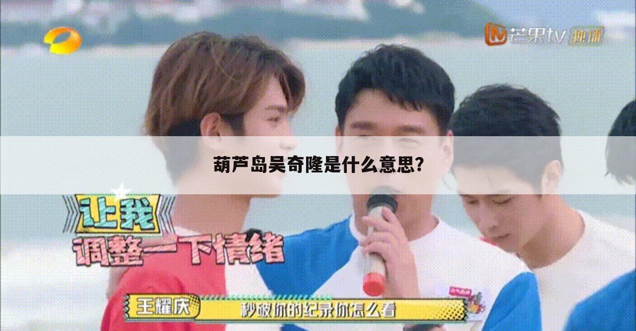 葫芦岛吴奇隆是什么意思?
