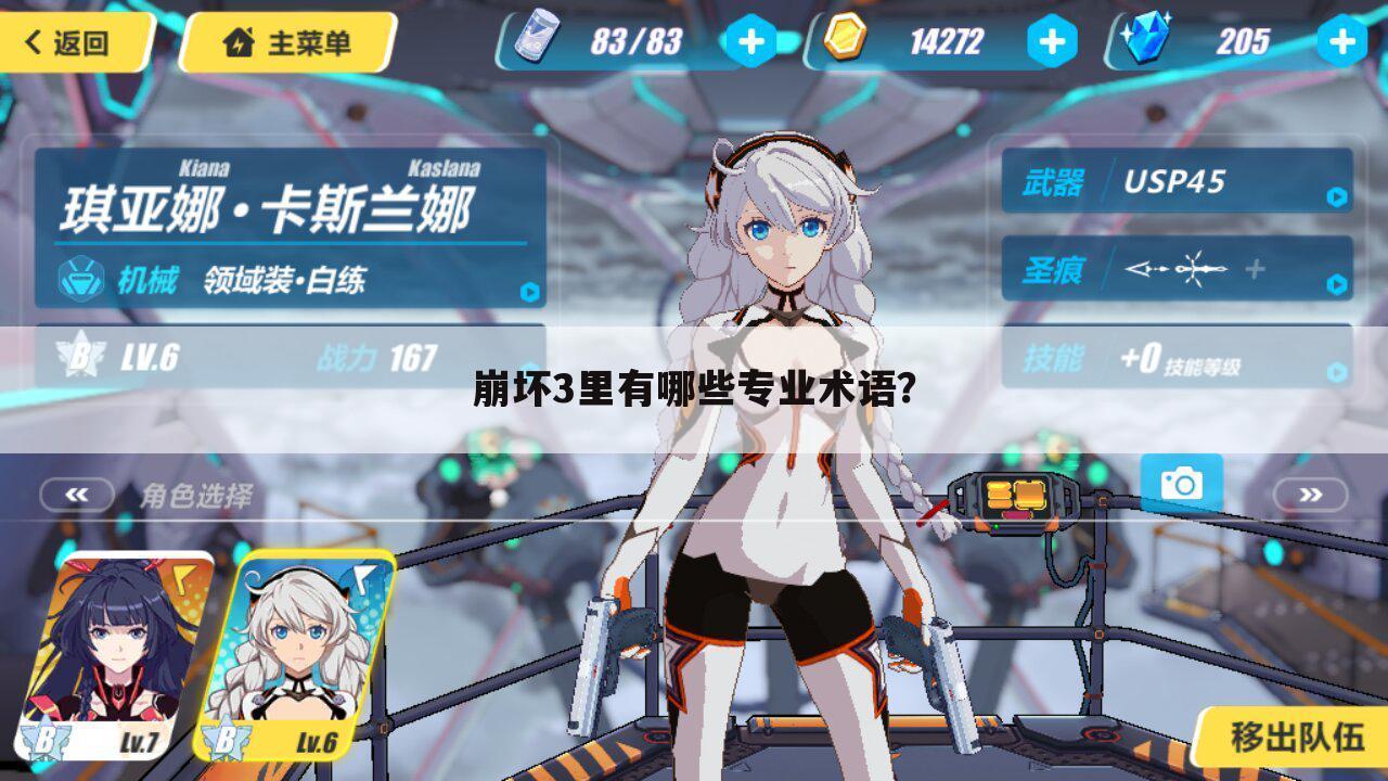 崩坏3里有哪些专业术语？