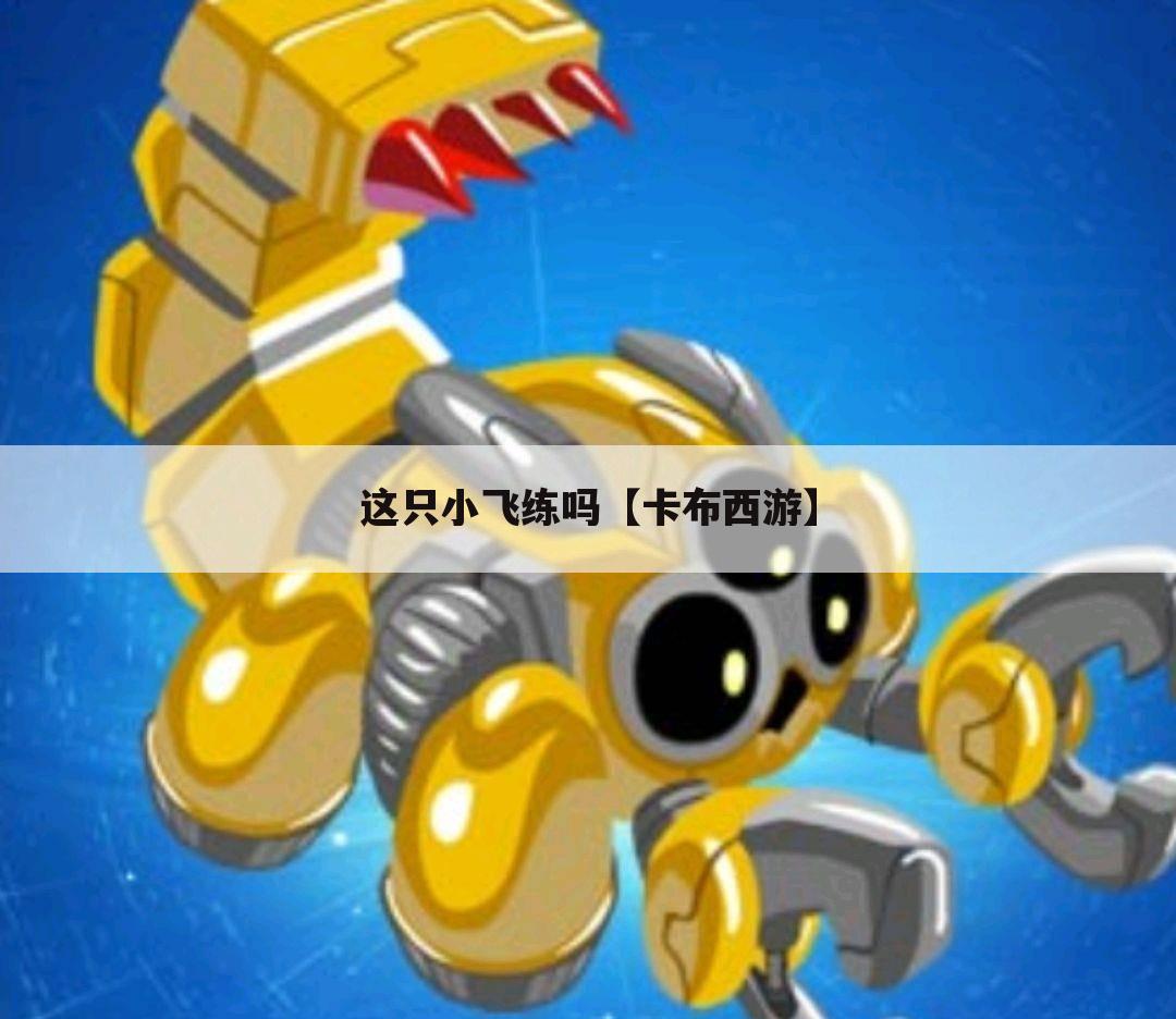 这只小飞练吗【卡布西游】