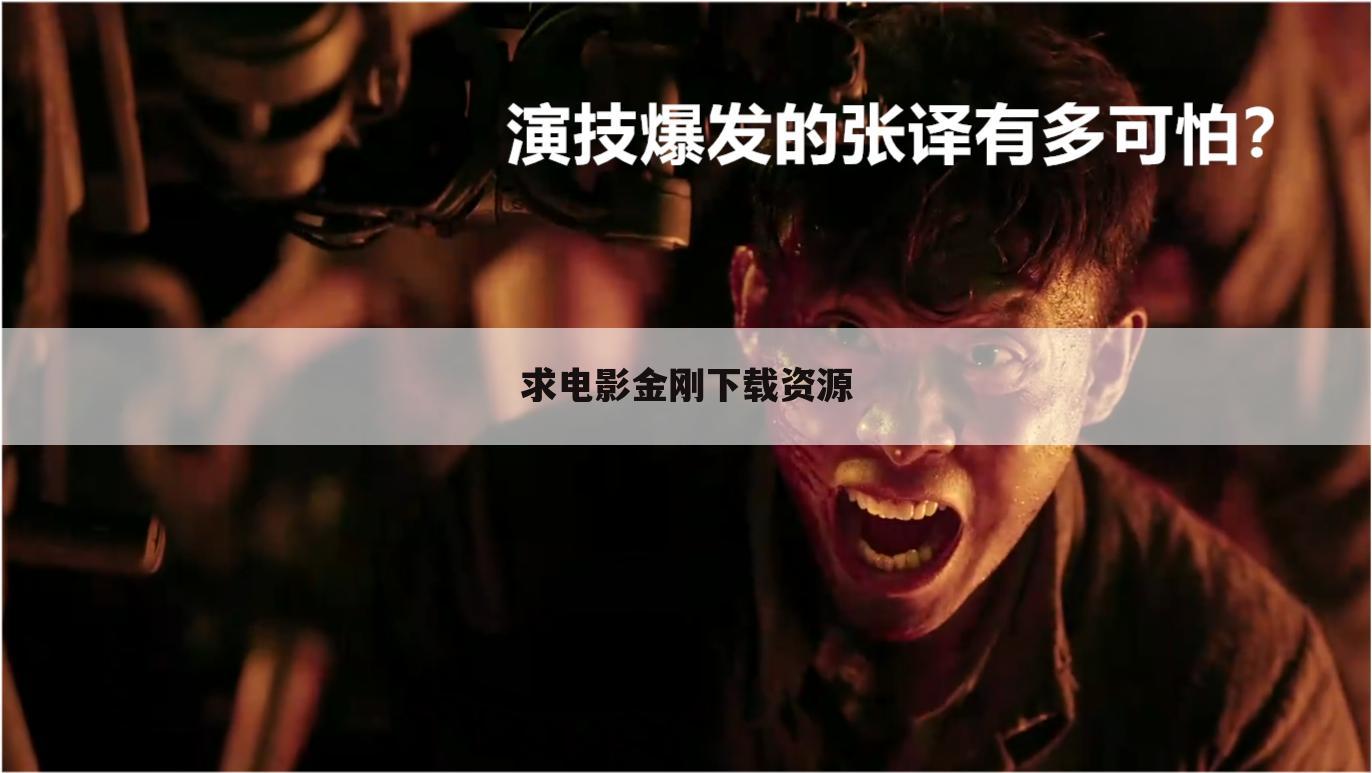 求电影金刚下载资源