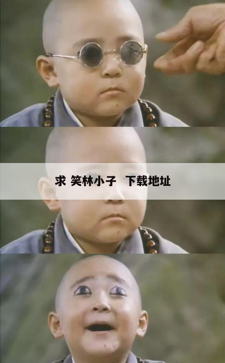 求 笑林小子 下载地址