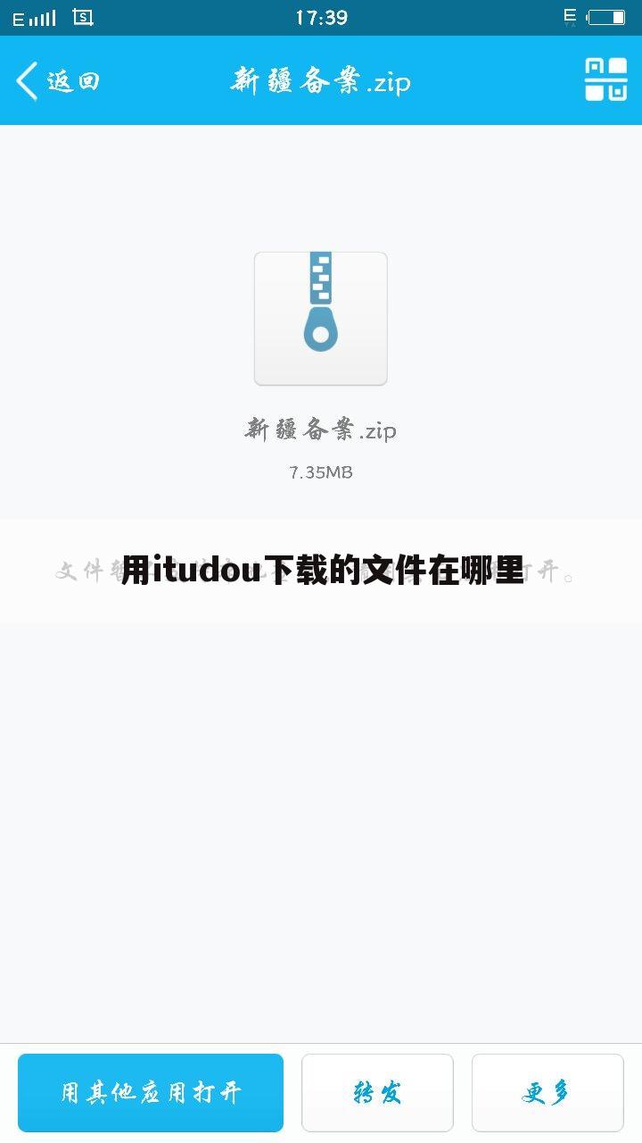 用itudou下载的文件在哪里