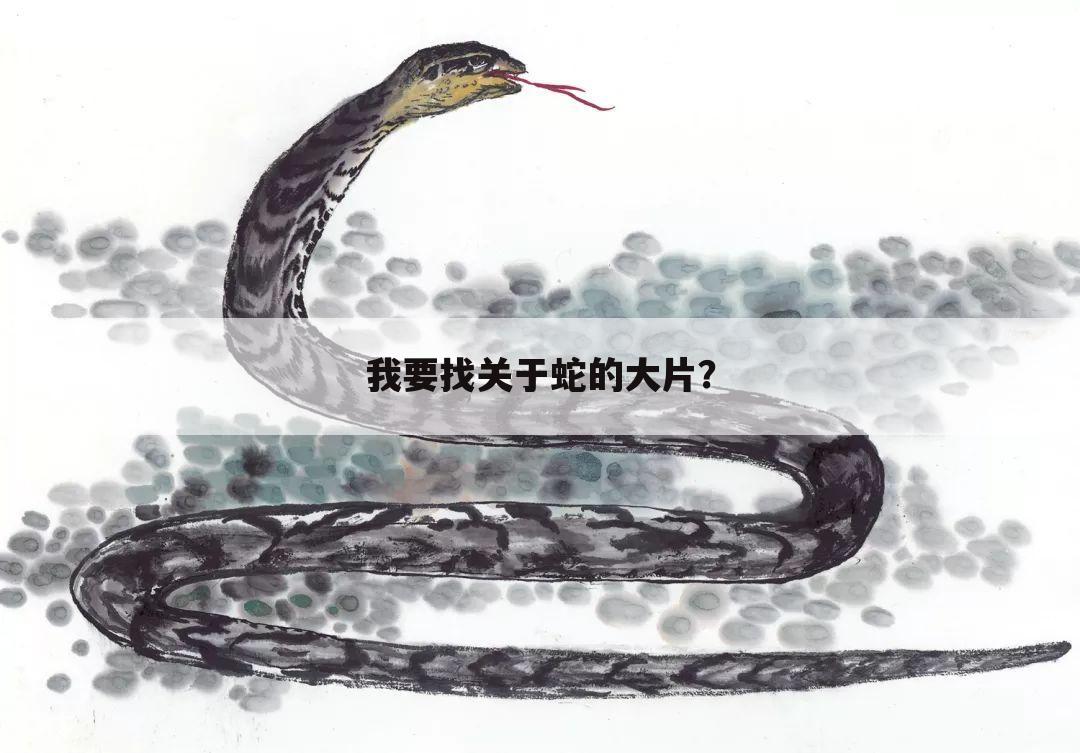 我要找关于蛇的大片？
