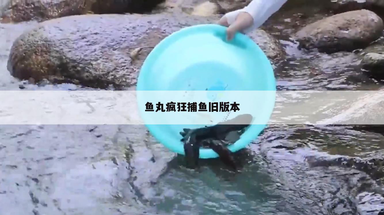 鱼丸疯狂捕鱼旧版本