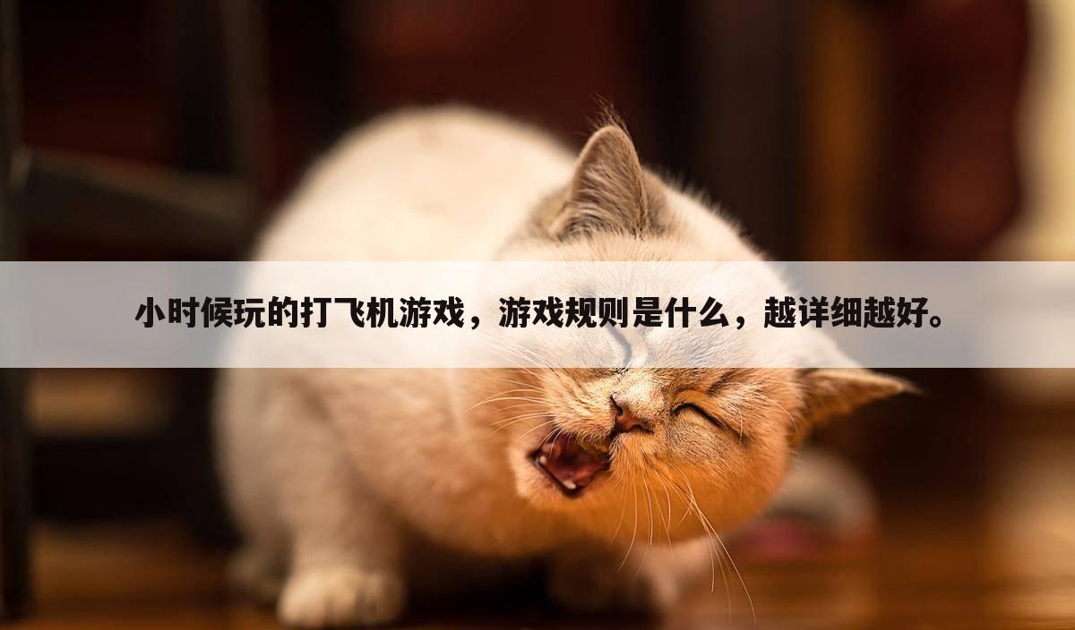 小时候玩的打飞机游戏，游戏规则是什么，越详细越好。
