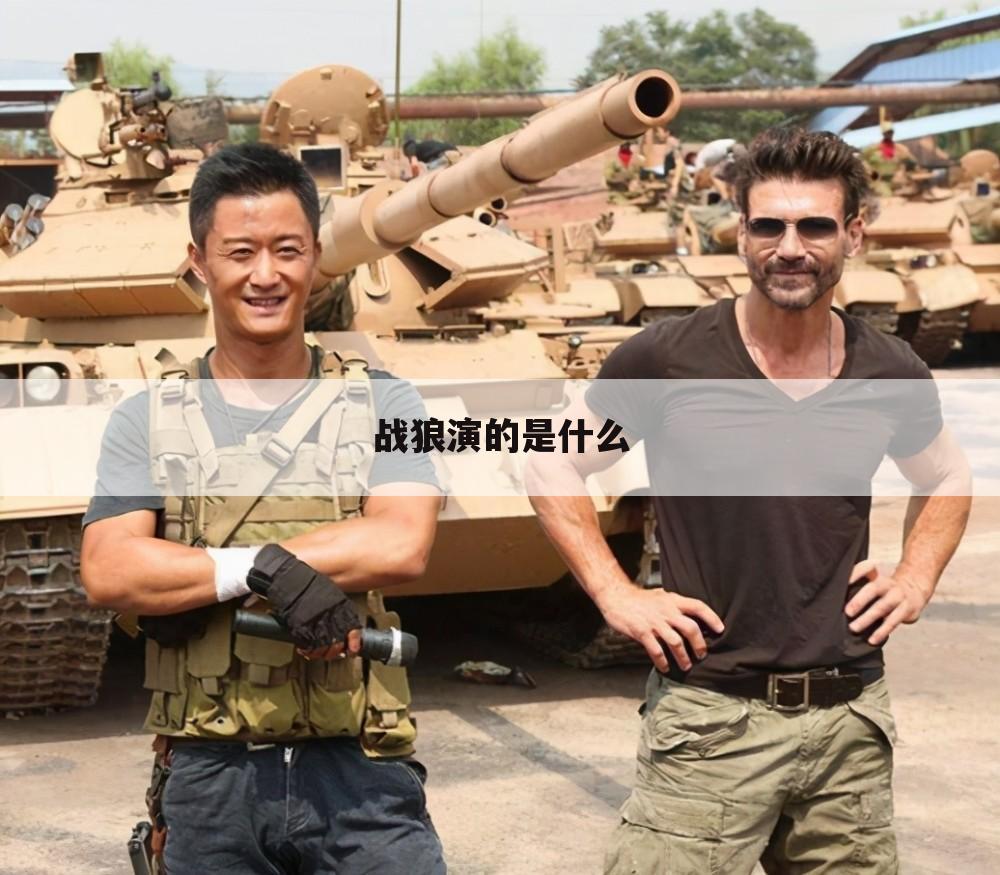 战狼演的是什么