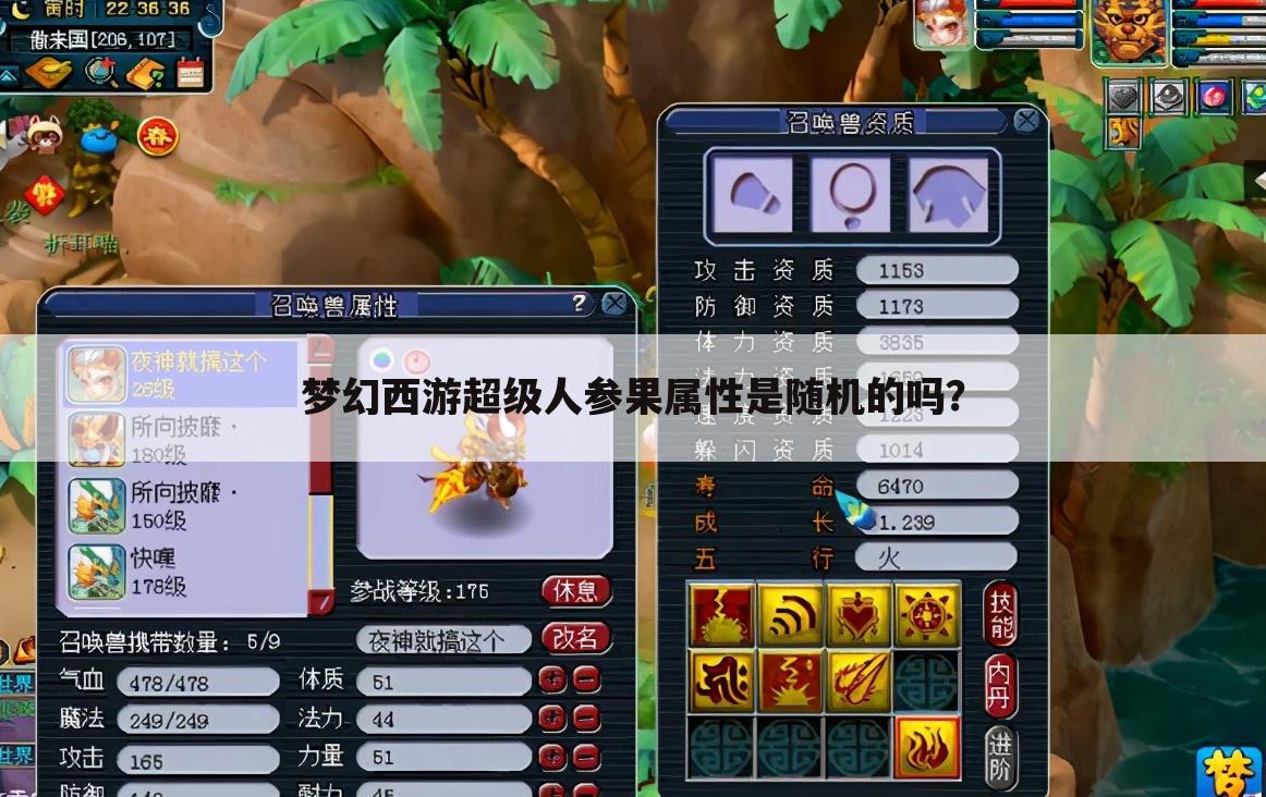 梦幻西游超级人参果属性是随机的吗?
