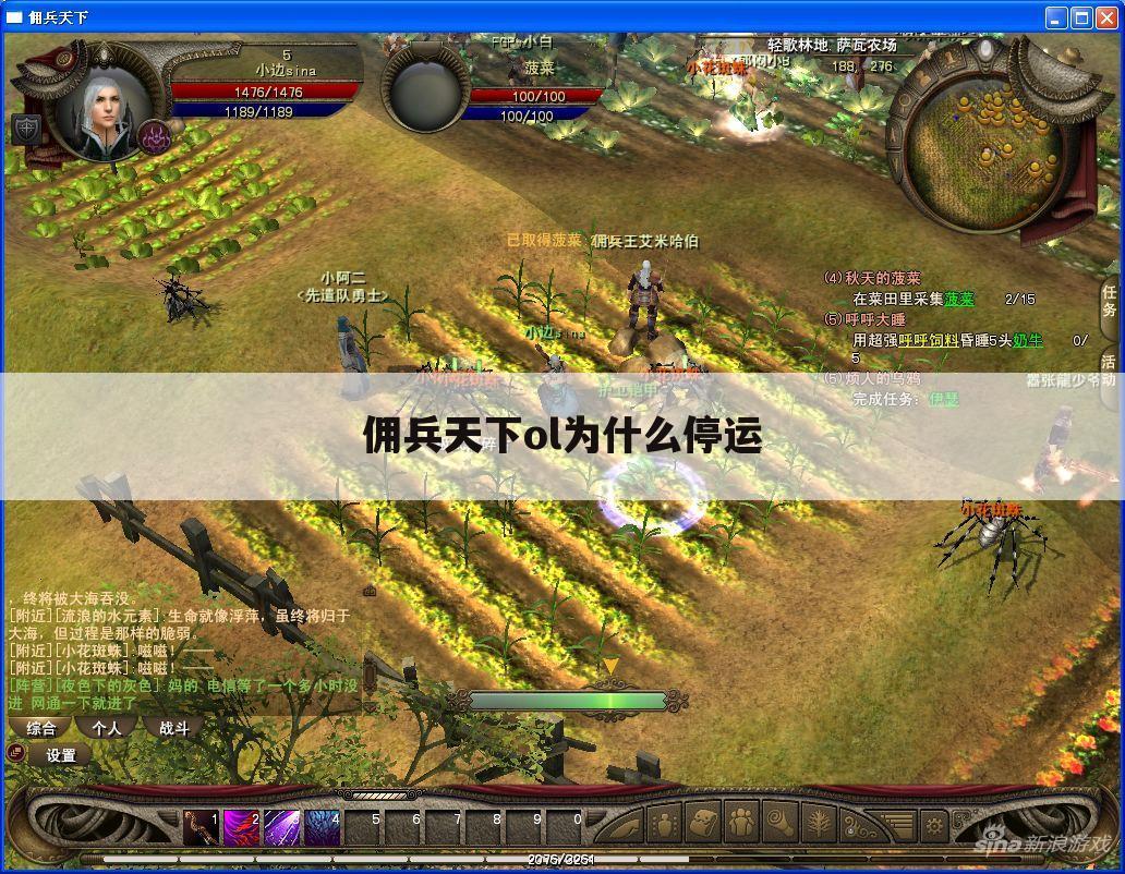 佣兵天下ol为什么停运