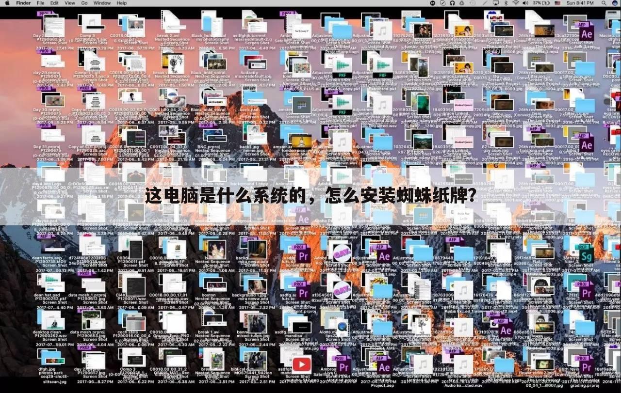 这电脑是什么系统的，怎么安装蜘蛛纸牌？