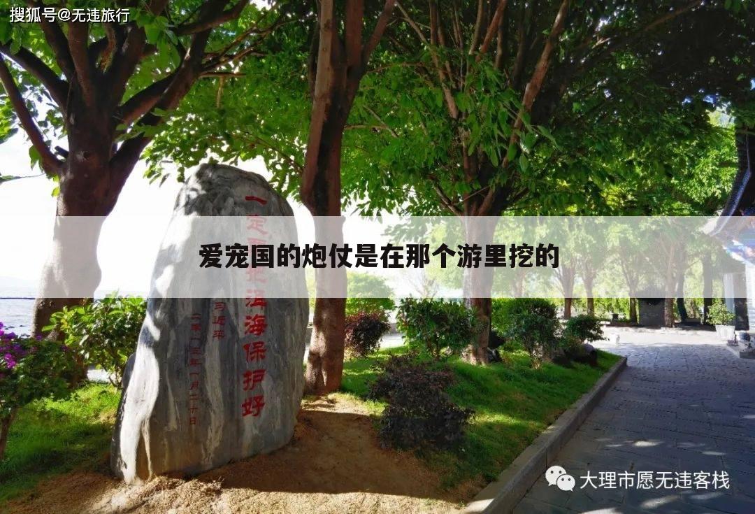 爱宠国的炮仗是在那个游里挖的