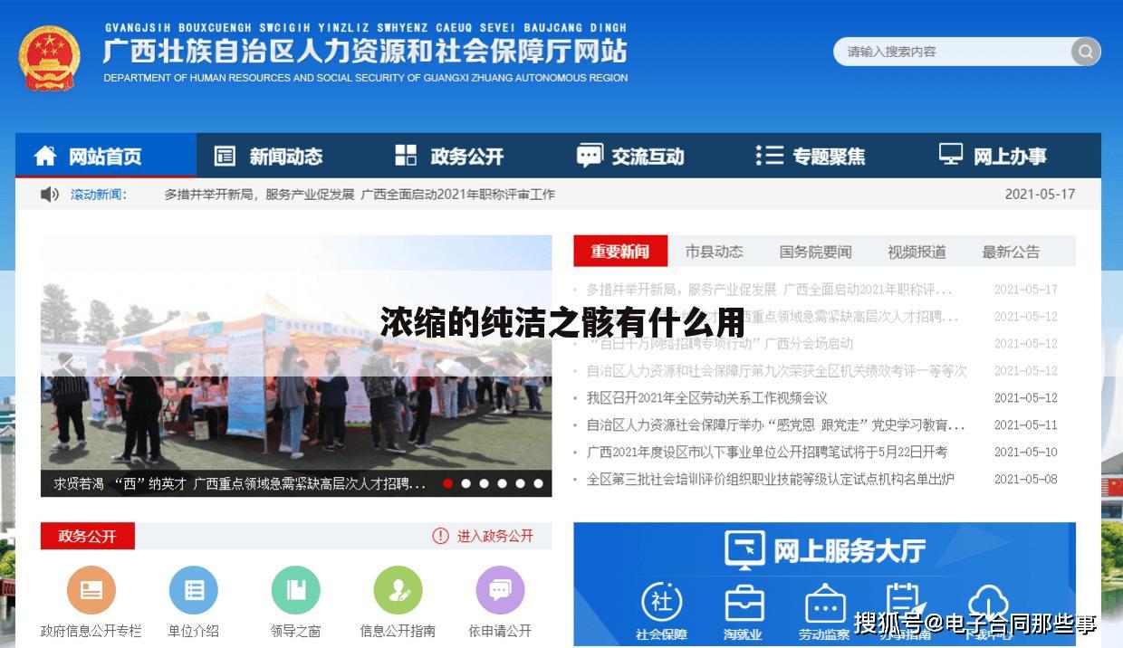 浓缩的纯洁之骸有什么用