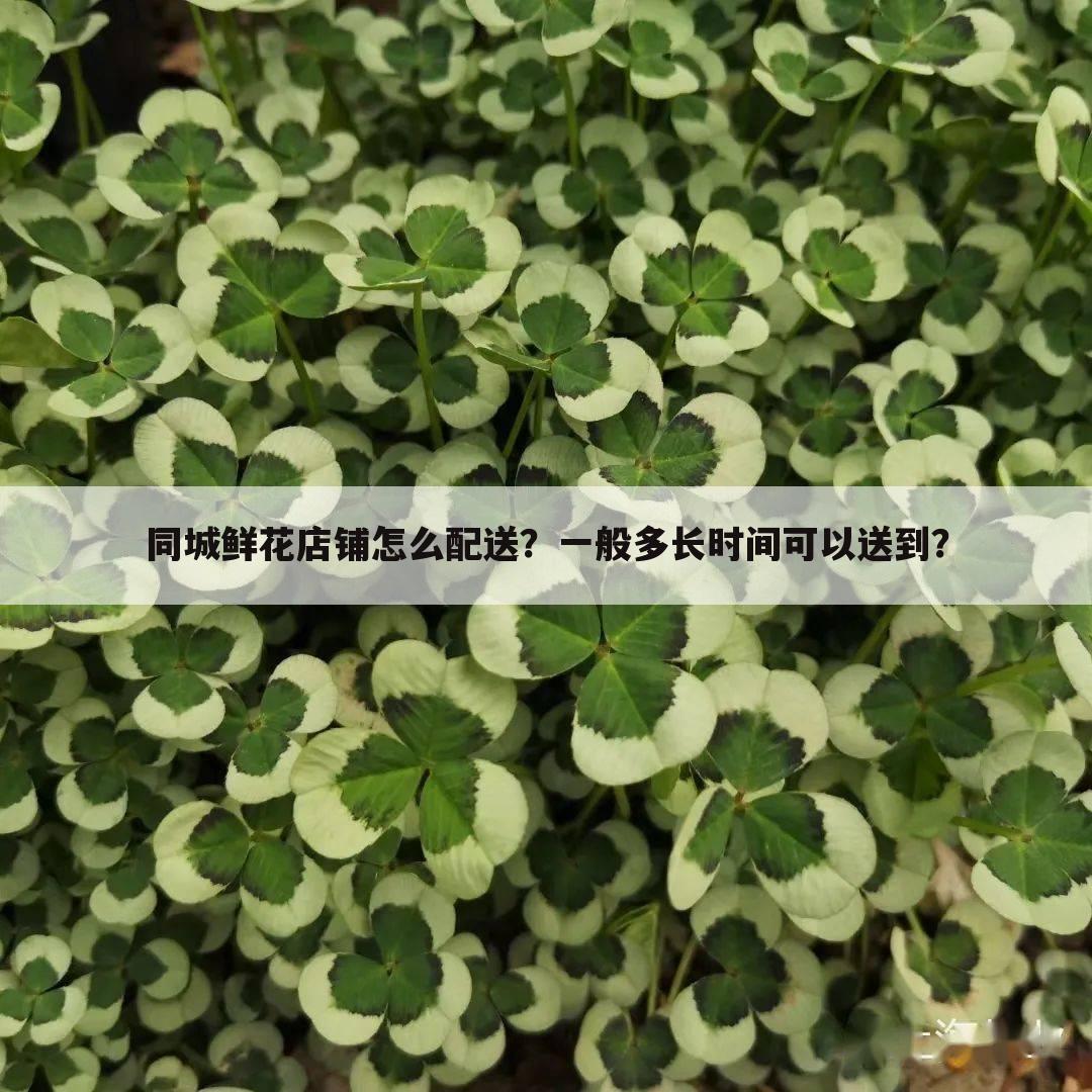 同城鲜花店铺怎么配送?一般多长时间可以送到?