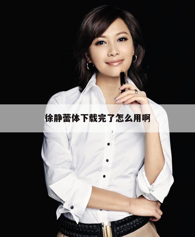 徐静蕾体下载完了怎么用啊