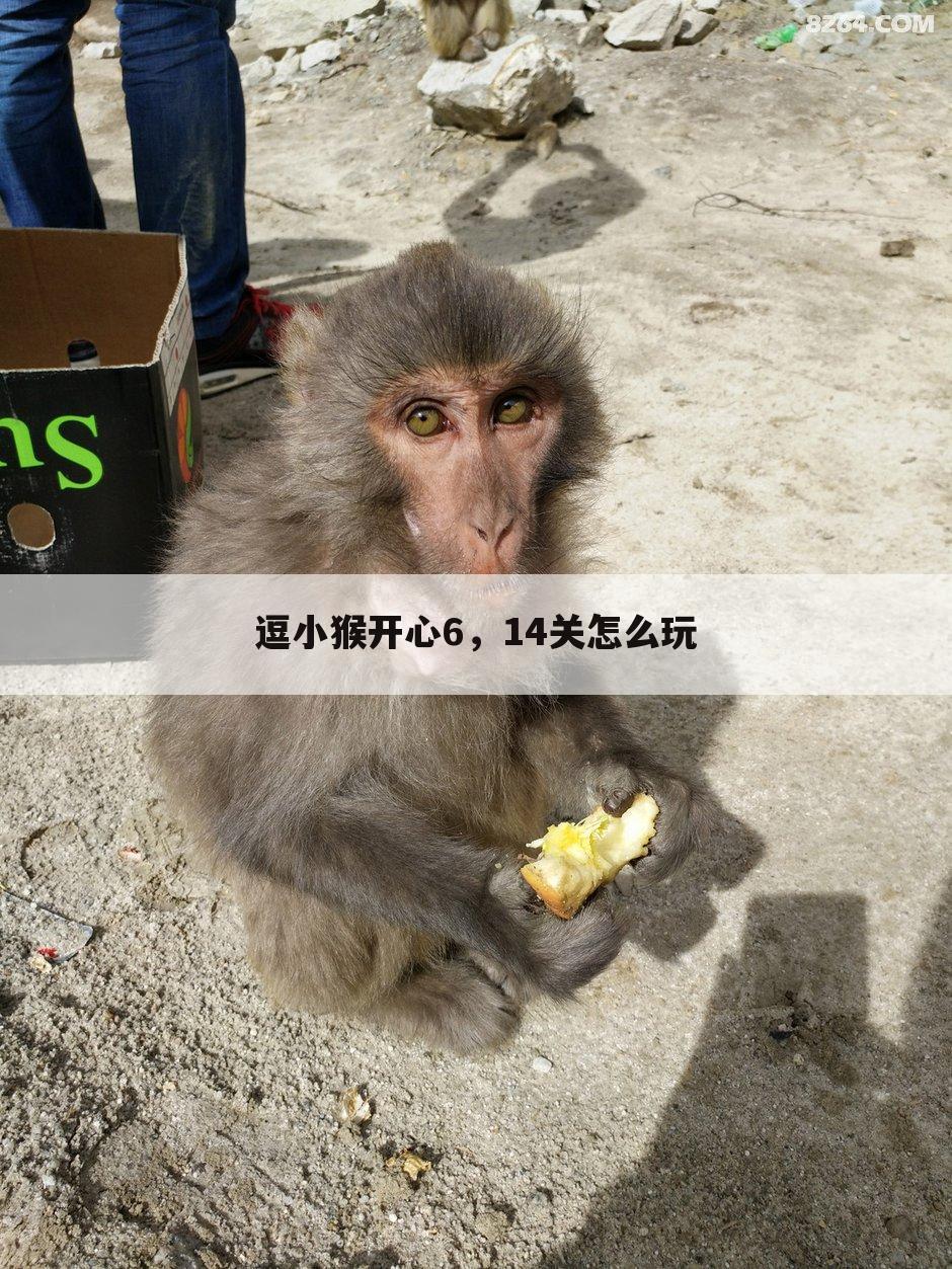 逗小猴开心6,14关怎么玩