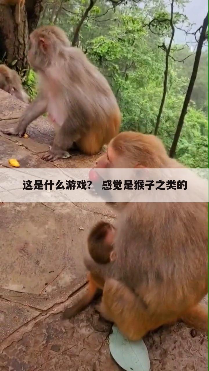 这是什么游戏? 感觉是猴子之类的