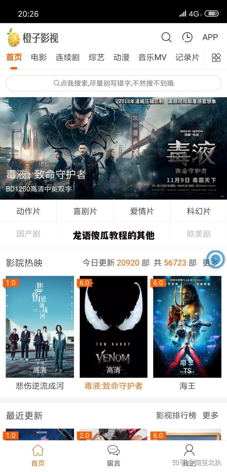 龙语傻瓜教程的其他
