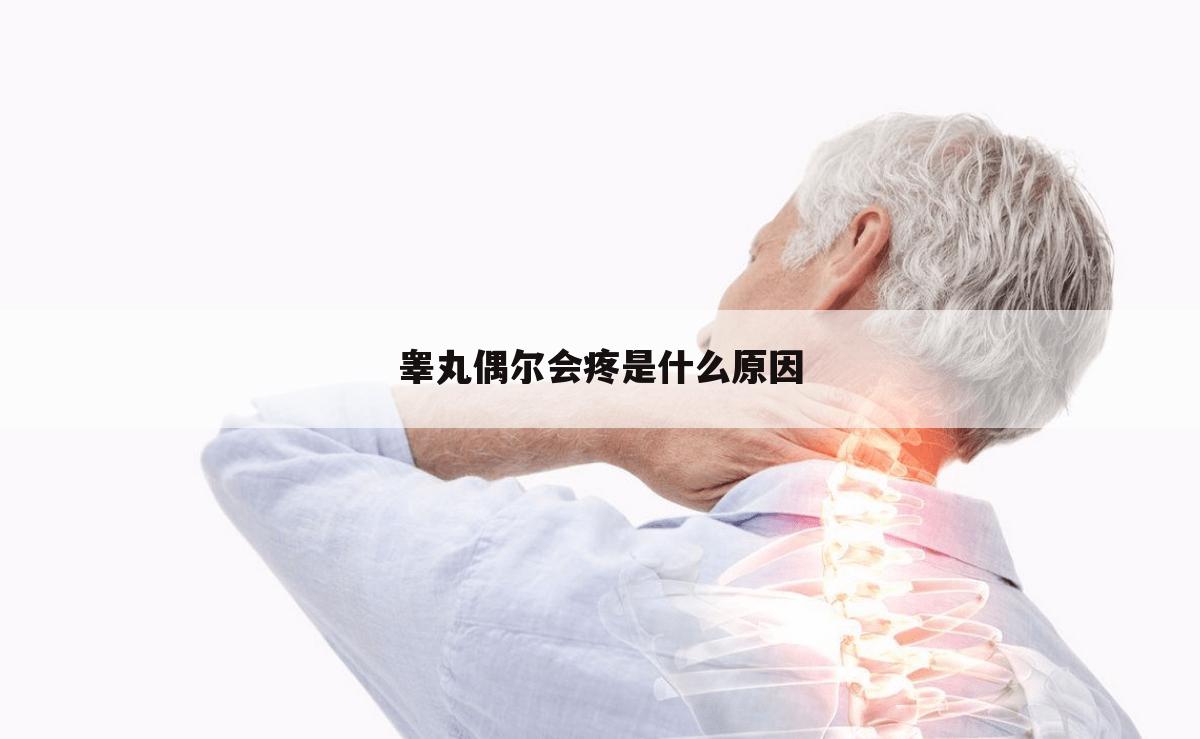 睾丸偶尔会疼是什么原因