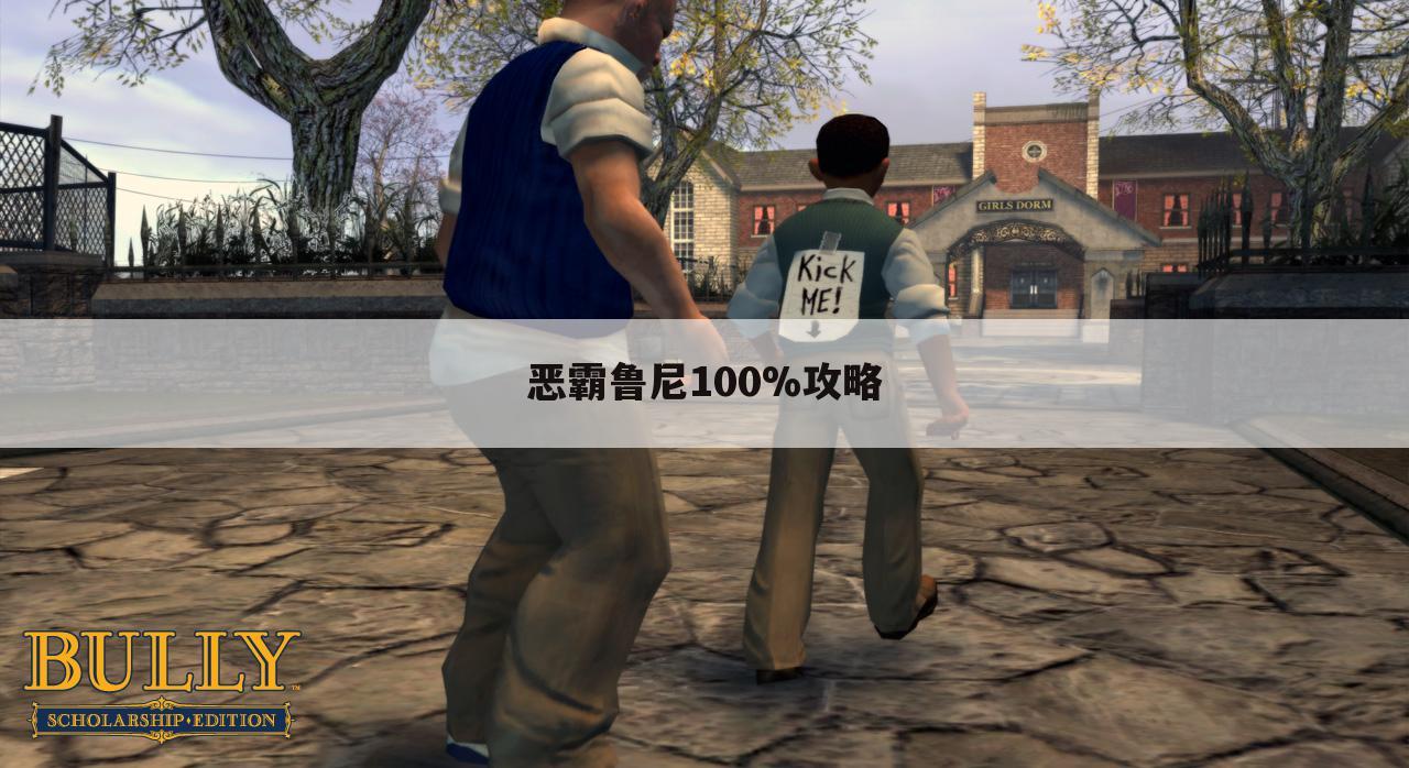 恶霸鲁尼100%攻略