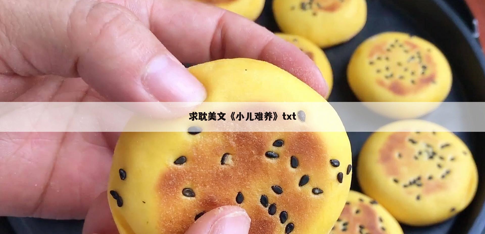 求耽美文《小儿难养》txt