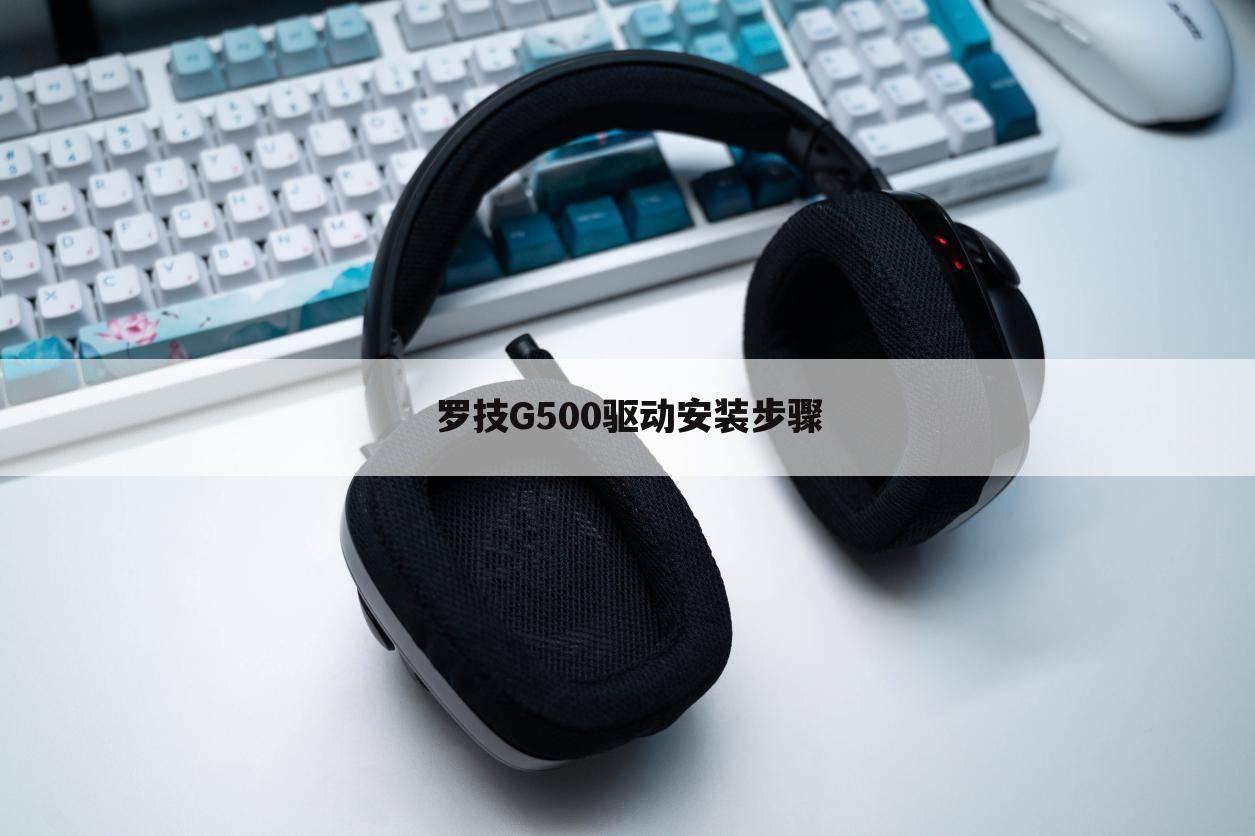 罗技G500驱动安装步骤