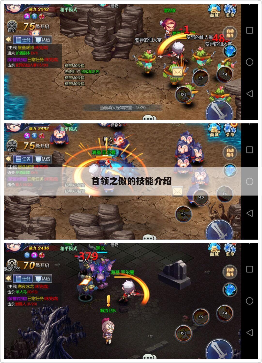 首领之傲的技能介绍
