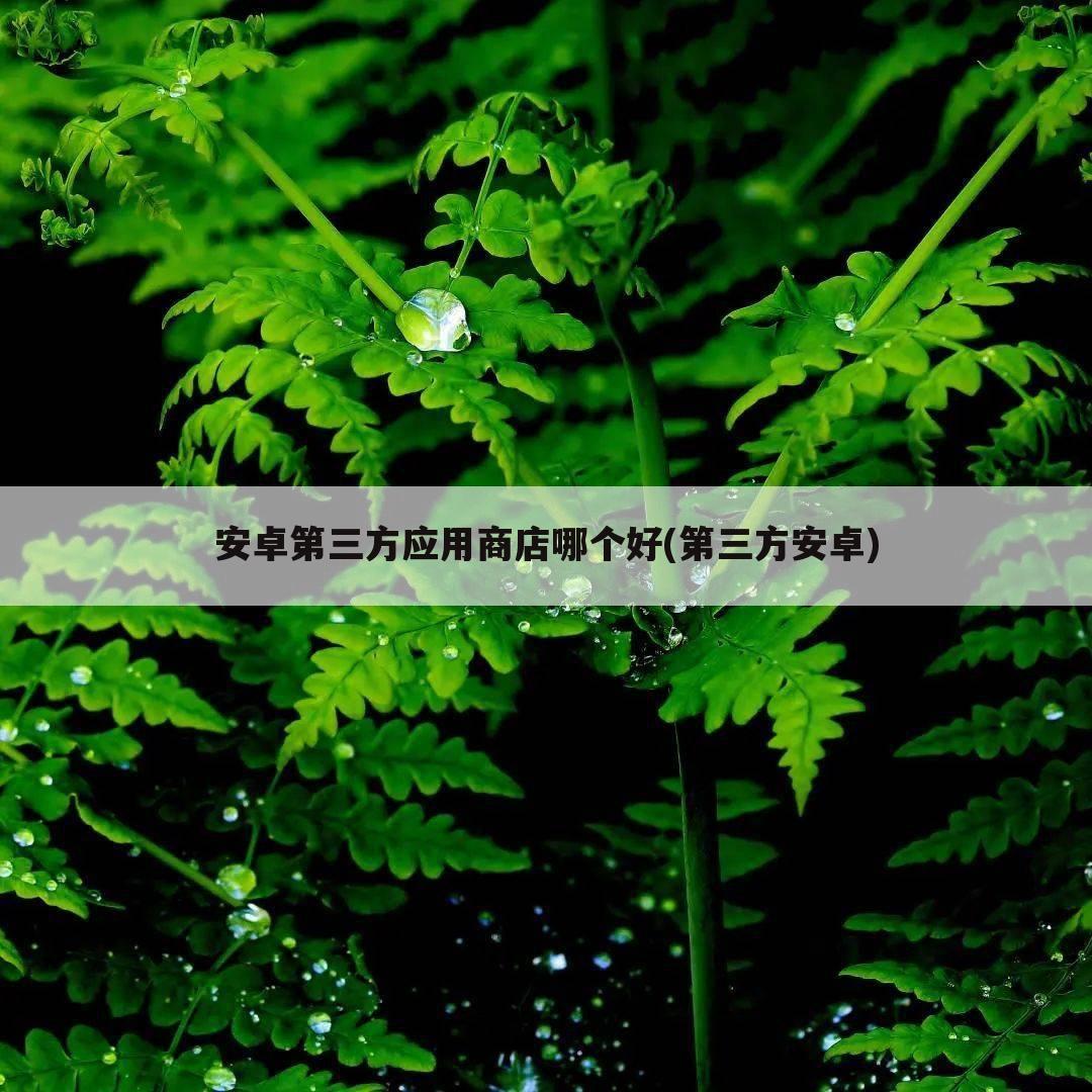 安卓第三方应用商店哪个好(第三方安卓)