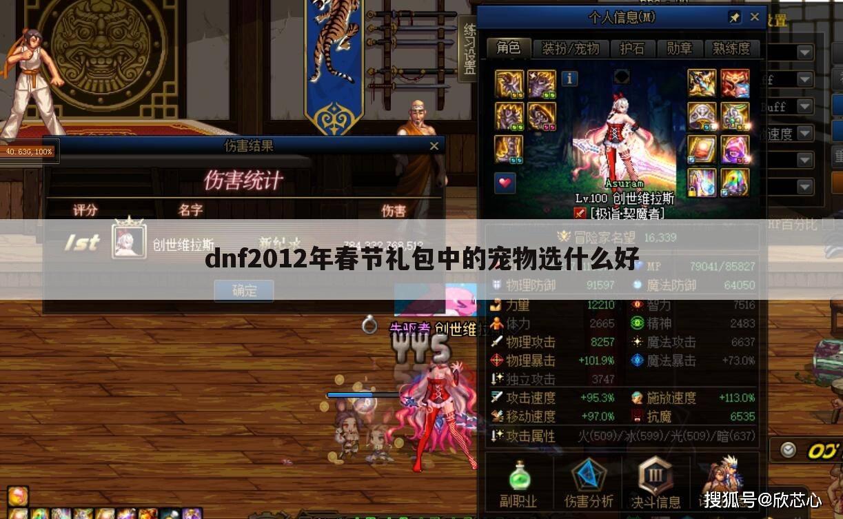 dnf2012年春节礼包中的宠物选什么好