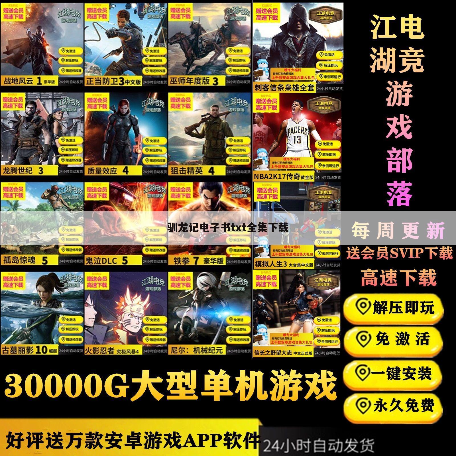 驯龙记电子书txt全集下载