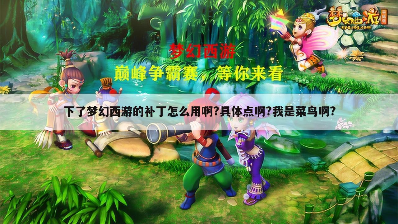 下了梦幻西游的补丁怎么用啊?具体点啊?我是菜鸟啊?
