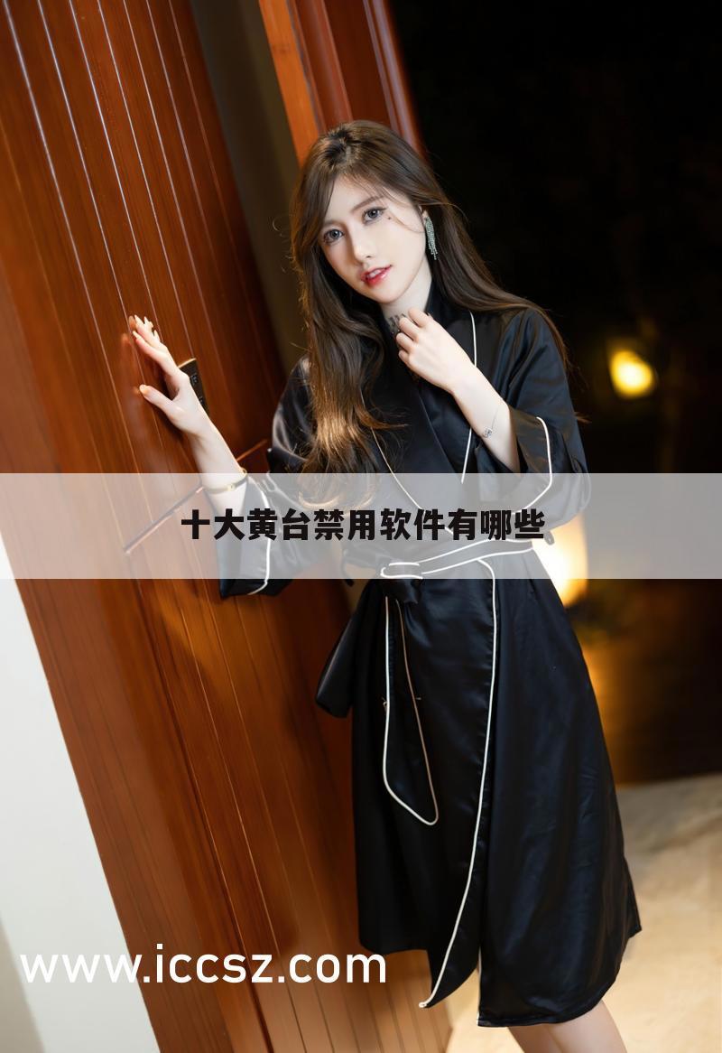 十大黄台禁用软件有哪些