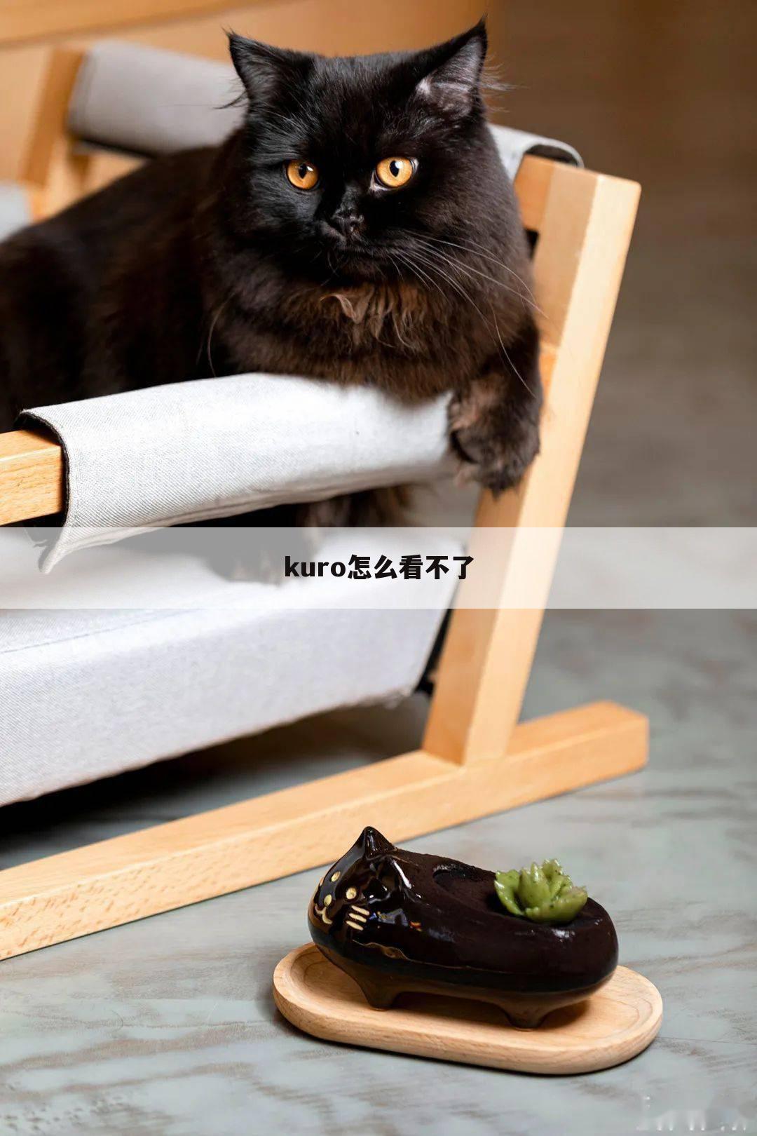 kuro怎么看不了