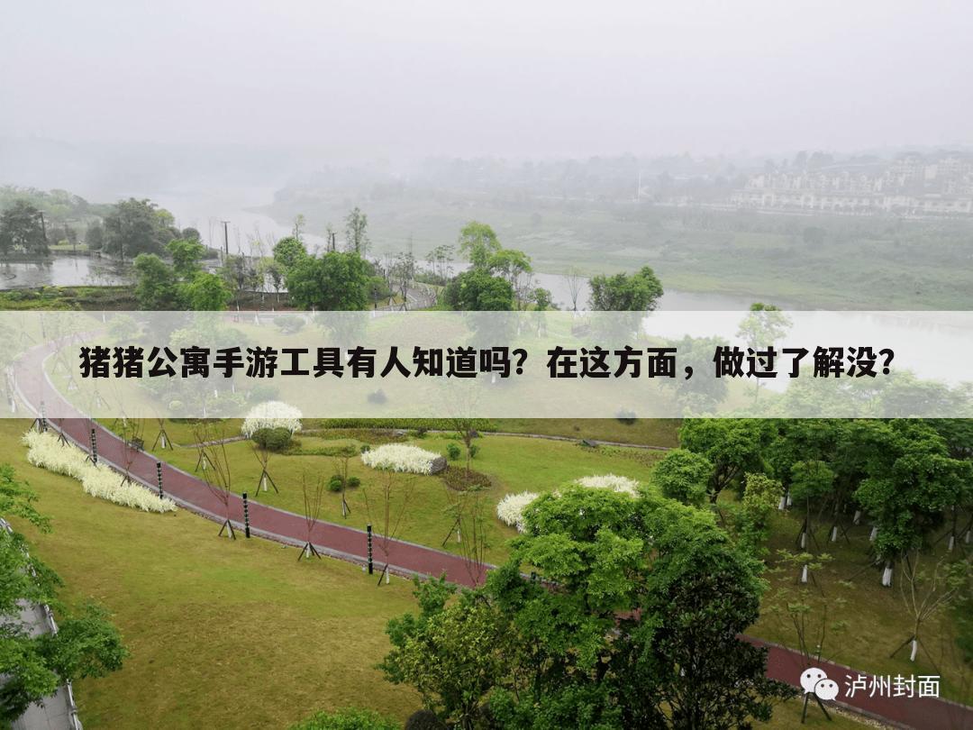 猪猪公寓手游工具有人知道吗?在这方面,做过了解没?