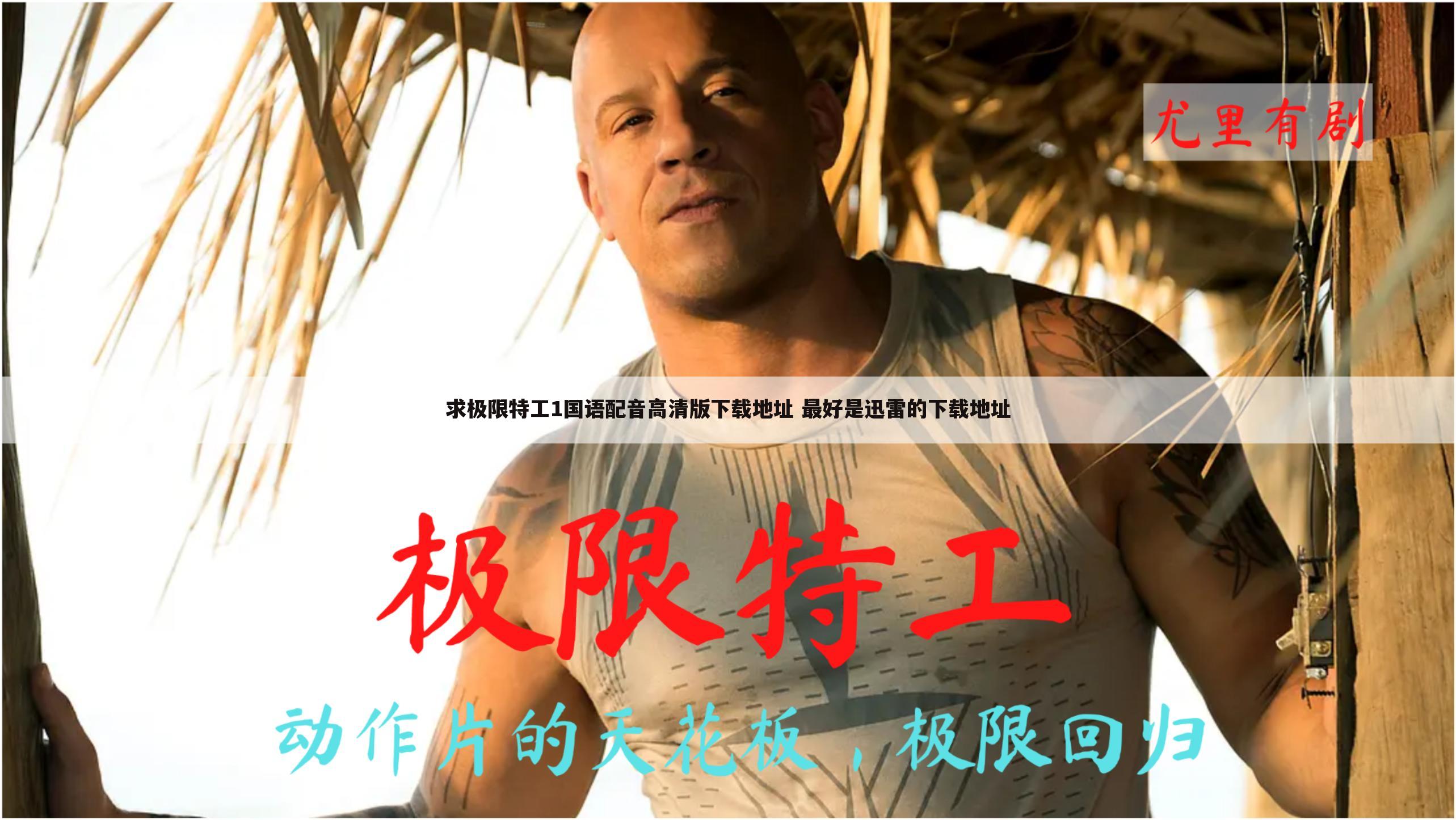求极限特工1国语配音高清版下载地址 最好是迅雷的下载地址